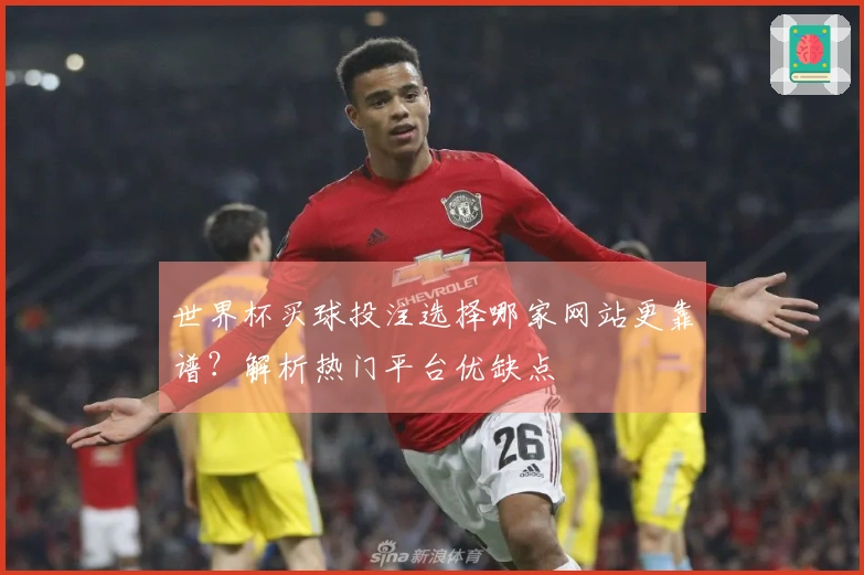 世界杯买球投注选择哪家网站更靠谱？解析热门平台优缺点