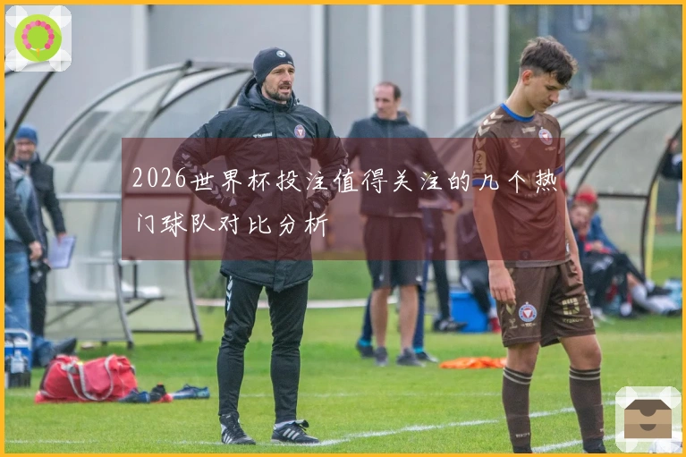 2026世界杯投注值得关注的几个热门球队对比分析