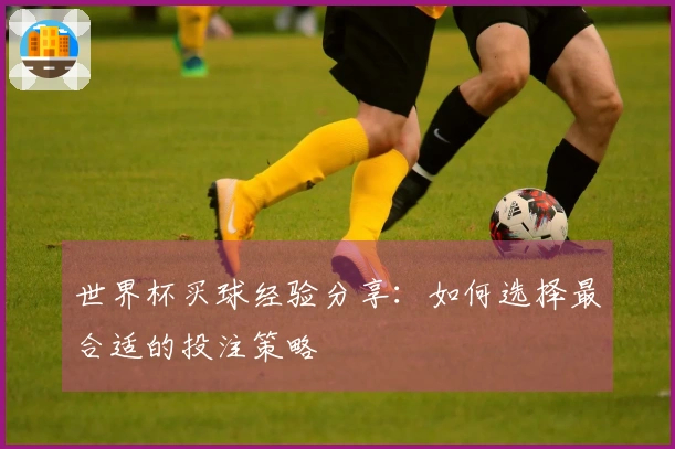 世界杯买球经验分享：如何选择最合适的投注策略