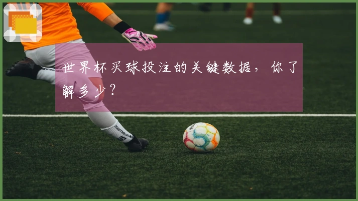 世界杯买球投注的关键数据，你了解多少？