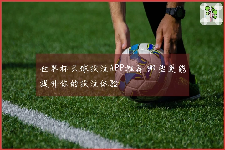 世界杯买球投注APP推荐 哪些更能提升你的投注体验