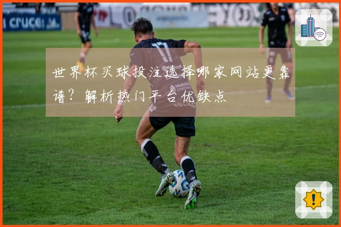世界杯买球投注选择哪家网站更靠谱？解析热门平台优缺点