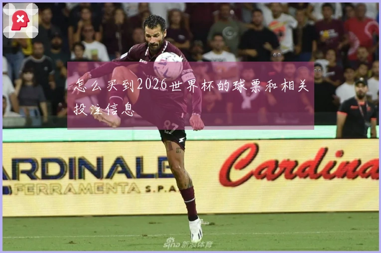 怎么买到2026世界杯的球票和相关投注信息