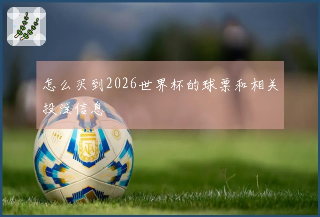 怎么买到2026世界杯的球票和相关投注信息