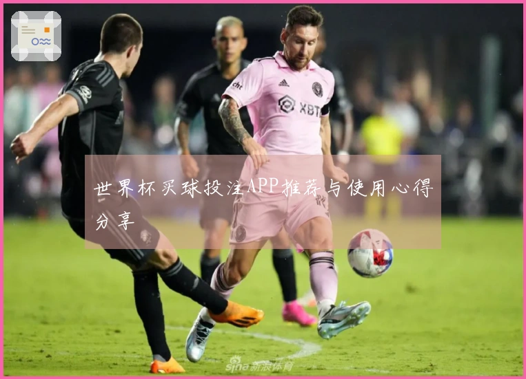 世界杯买球投注APP推荐与使用心得分享